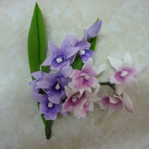 Curso Flores - Módulo Orquídea Phalenopsis